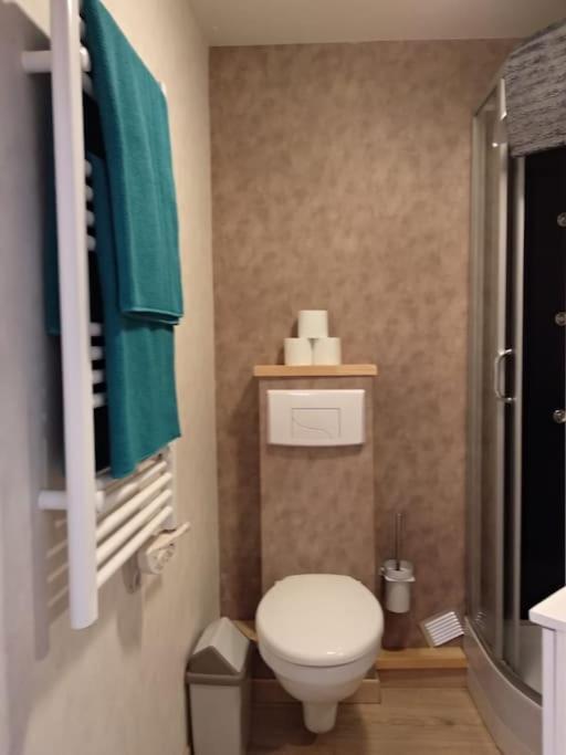 Appartement Centre Ville Rose Toulouse Exterior photo